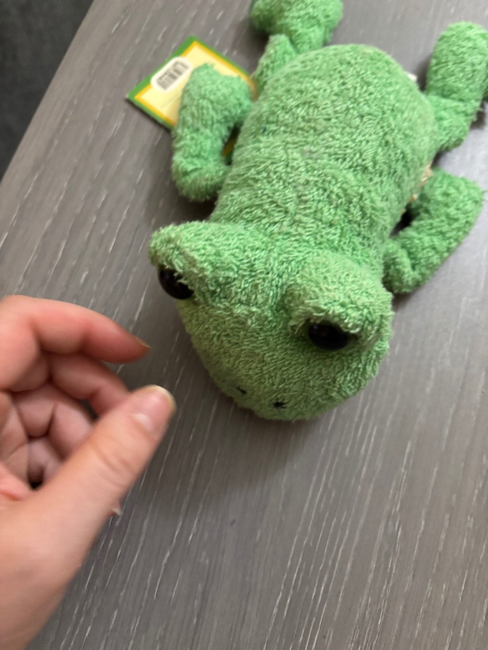Frog cucumber, melon, scented scrubby, buddy